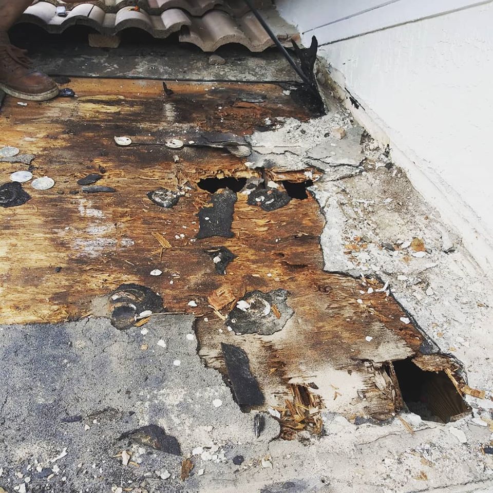 Weston, Florida Roof Repair Call! 954-213-4398
